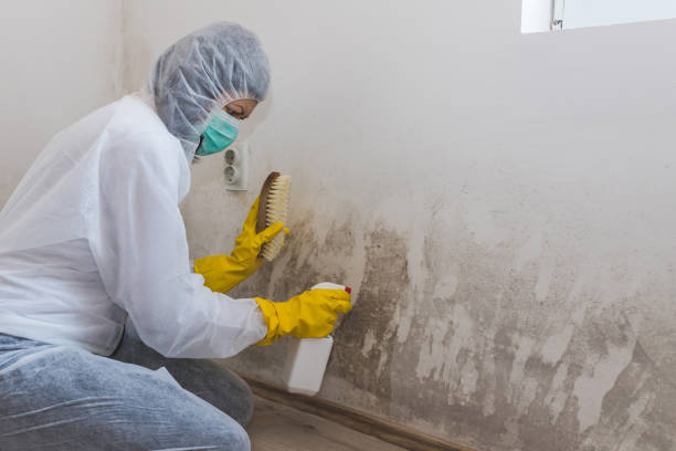 Best Professional Mold Removal  in Elliston, VA