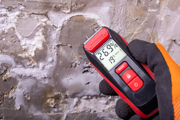 Professional Mold Removal in Elliston, VA
