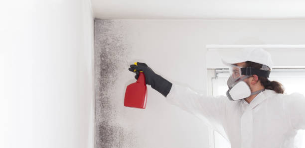 Best Mold Testing  in Elliston, VA