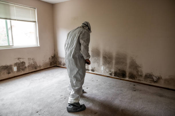 Best Commercial Mold Removal  in Elliston, VA
